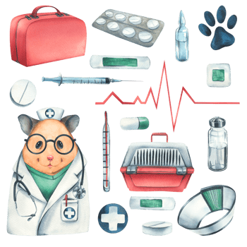 Veterinary set with doctor hamster, pet carrier, medicines. Watercolor illustration, hand drawn. Isolated objects , for the design of clinics, hospitals, pharmacies, medicines png