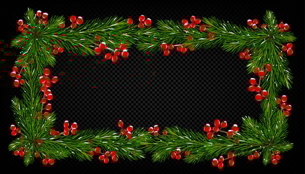 Holiday frame of Christmas tree branches vector