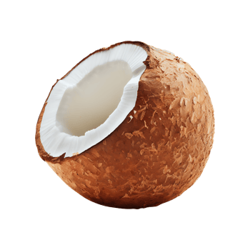 Broken coconut piece on transparent background png