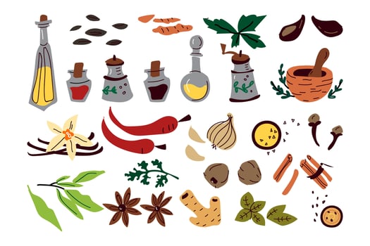 Spices doodle set. Collection of sketches different condiments herbs coriander carnation ginger pepper isolated on white. Aromatic plants for cooking vector vintage illustration for card print design