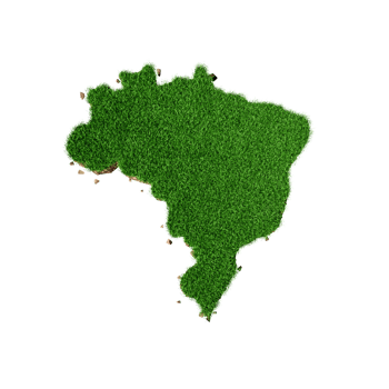Top View Brazil Map Grass and ground texture 3d illustration png
