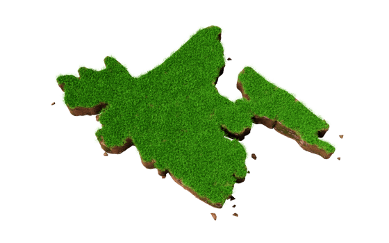 Bangladesh country Grass and ground texture map 3d illustration png