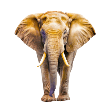 AI generative elephant png transparent