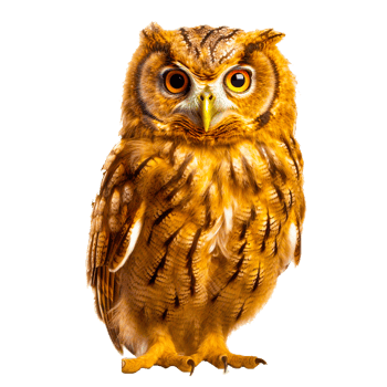AI generative owl bird png