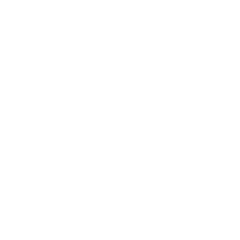 tiger face animal ink style wild png
