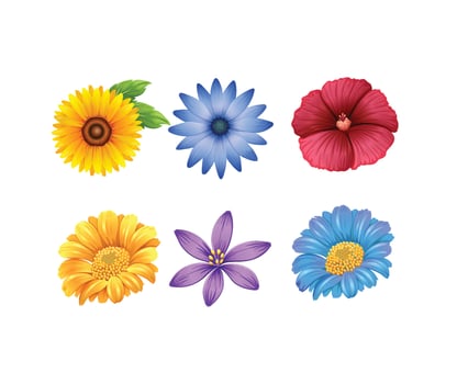 beautiful colourful flower set vector