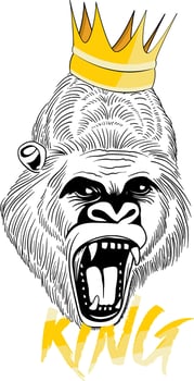 Ferocious gorilla head with crown, on white background. Vector illustration
