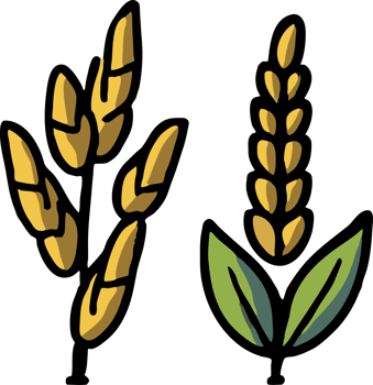Wheat png graphic clipart design
