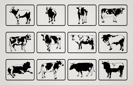 Cow silhouette vector collection, Cows silhouette Set, Cow black silhouette bundle