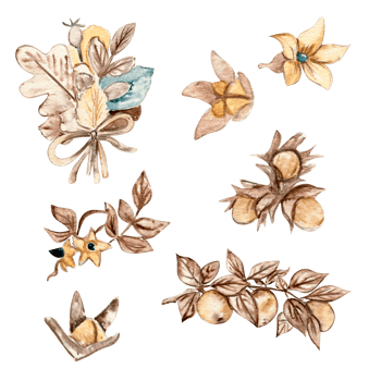 Watercolor hand drawn autumn leaves and elements. Hand drawn illustration of autumn. Perfect for scrapbooking, kids design, wedding invitation, posters, greetings cards, party decoration. png