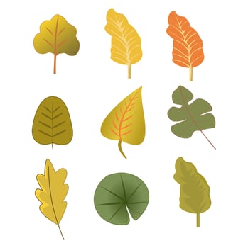 Set of watercolor green leaves elements. Collection botanical vector isolated on white background suitable for Wedding Invitation, save the date, thank you, or greeting card.