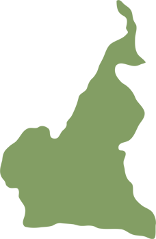 doodle freehand drawing of cameroon map. png