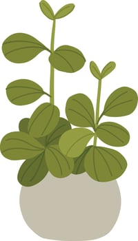 Houseplant in pot isolated on white background. Flat style vector illustration.