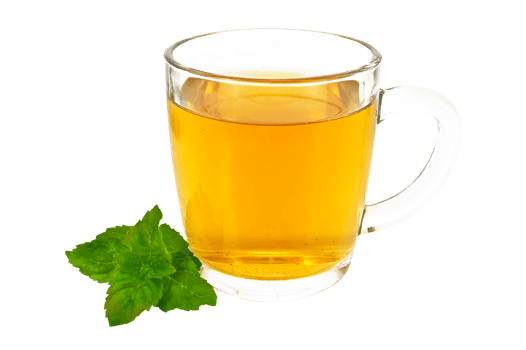 Fresh herbal tea cup with mint isolated on transparent background png