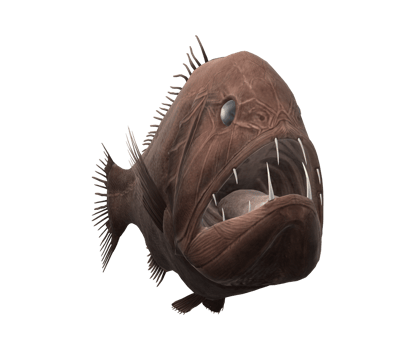 Fangtooth Fish isolated on a Transparent Background png