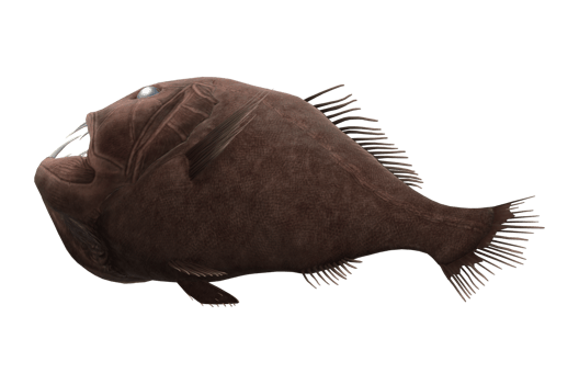 Fangtooth Fish isolated on a Transparent Background png