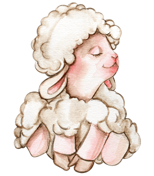Watercolor hand drawn cute white fluffy sheep. Watercolor illustration of farm baby animal. png