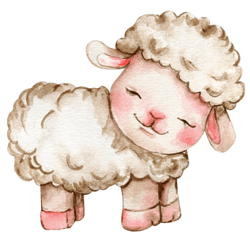 Watercolor hand drawn cute white fluffy sheep. png