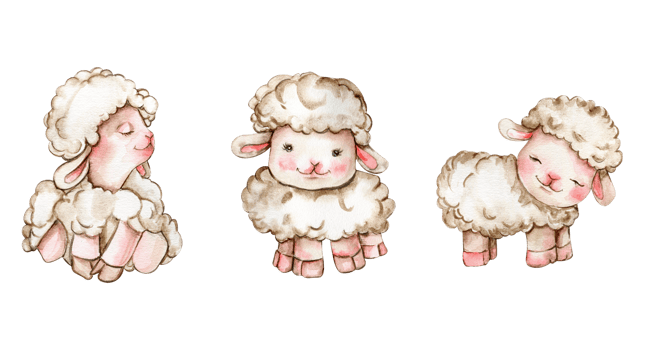 Watercolor hand drawn cute white fluffy sheep. png