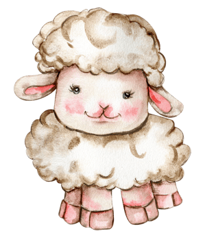 Watercolor hand drawn cute white fluffy sheep. png