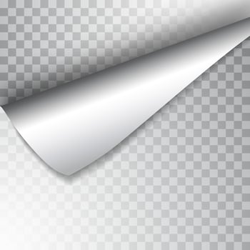 Paper page with curled corner and shadow. Template for your design. Set. Vector illustration