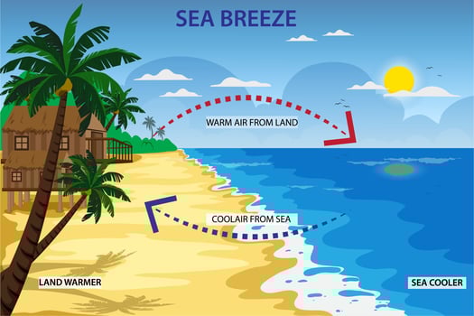 Sea breeze blows from sea to land during the day vector