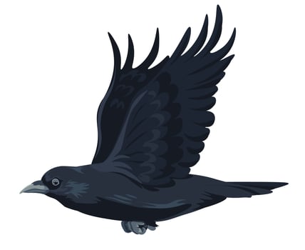 Flying large black bird, crow or raven moving vector