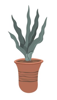 Flower in pot, houseplant with lush leaves vector