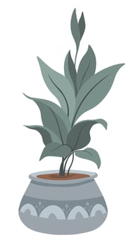 Flower in pot, banana tree exotic botany decor vector