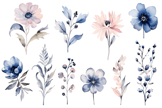 Beautiful set Watercolor flower and leaves element collection. png
