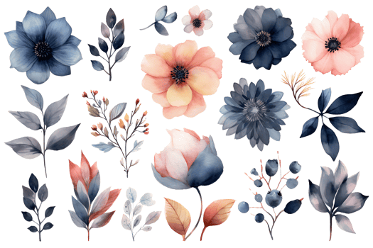 Beautiful set Watercolor flower and leaves element collection. png