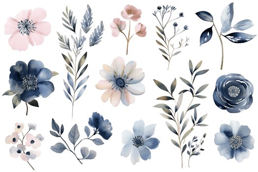 Beautiful set Watercolor flower and leaves element collection. png