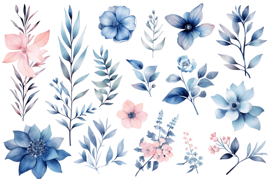 Beautiful set Watercolor flower and leaves element collection. png