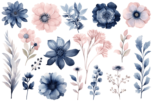 Beautiful set Watercolor flower and leaves element collection. png