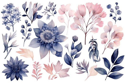 Beautiful set Watercolor flower and leaves element collection. png