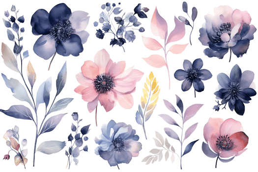 Beautiful set Watercolor flower and leaves element collection. png