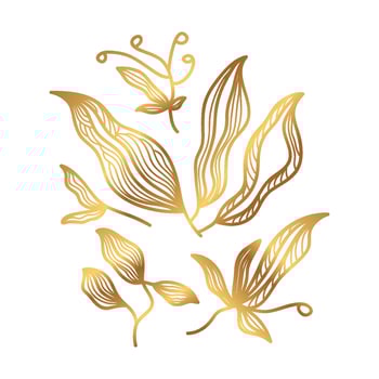 Golden Floral Vector Illustration with Line Style. Luxury Hand Drawn Flowers