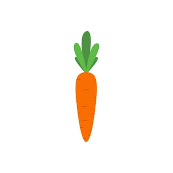 carrot flat design vector illustration. Carrot icon isolated on white background. Veg icon illustration. Carrot, vegetable, food, vector flat style. Vector orange flat carrot icon.