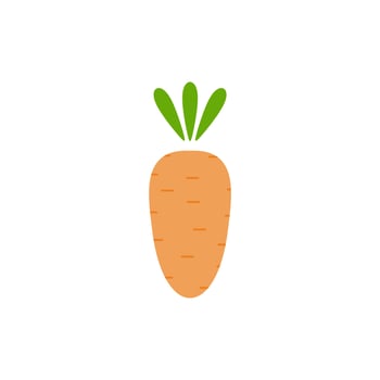 carrot flat design vector illustration. Carrot icon isolated on white background. Veg icon illustration. Carrot, vegetable, food, vector flat style. Vector orange flat carrot icon.