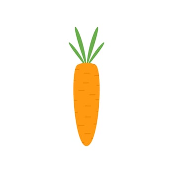 carrot flat design vector illustration. Carrot icon isolated on white background. Veg icon illustration. Carrot, vegetable, food, vector flat style. Vector orange flat carrot icon.