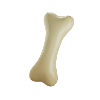 dog' bone png background,cat'bone3d object on