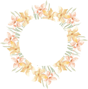 Yellow Daffodil Watercolor Flower png
