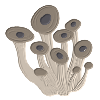 vegetables acrylic hand painting png
