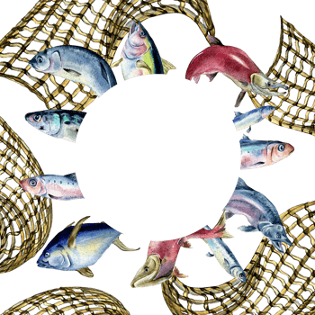 Frame of various fresh sea fish watercolor illustration. Wild fish, tuna, salmon, herring, anchovy hand drawn. Design element for cookbook, signboard, menu, market, packaging. png