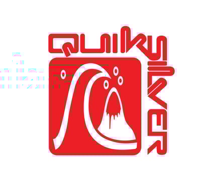 Quiksilver Symbol Brand With Name Red Logo Clothes Design Icon Abstract Vector Illustration