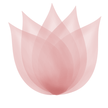 flower botanical illustration png