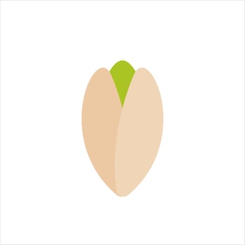 Pistachio flat design vector illustration isolated on white background. can be used for organic product. Culinary ingredient.