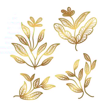 Golden Floral Vector Illustration with Line Style. Luxury Hand Drawn Flowers