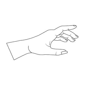 Woman Hands Delicate Rejuvenating, Elegant female hands, Realistic Gestures, Line Art, Vector Illustration