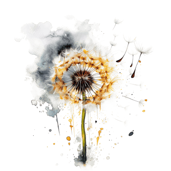 Watercolor dandelion flower. Illustration png